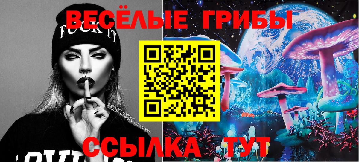 Галлюциногенные грибы Psilocybe  Вход с VPN  закладка  Краснодар  Галлюциногенные грибы Cubensis 